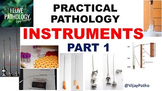 Grovers Disease Transient Acantholytic Dermatosis 5Minute Pathology Pearls [upl. by Amsirak]