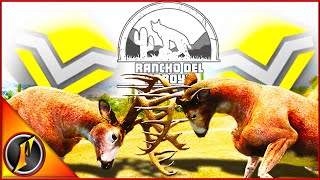 Rancho Del Arroyo Whitetail Hunting  Double Diamond Bucks [upl. by Tana]