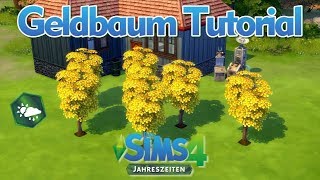 Reich werden mit dem Geldbaum  Sims 4  Geldbaum Tutorial [upl. by Evreh]