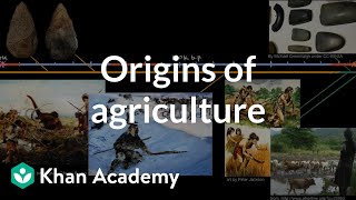 Origins of agriculture  World History  Khan Academy [upl. by Anemolif684]