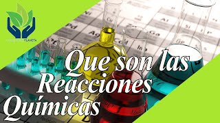 Reacciones químicas explicación y ejemplos [upl. by Nnyrat949]