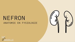 Nefron [upl. by Fiore]