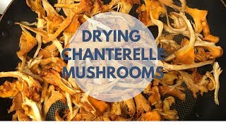 Drying Chanterelle Mushrooms For Longerterm Storage [upl. by Vaas566]