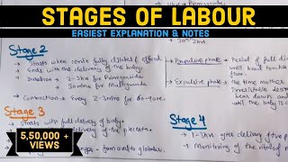 Stages of Labour  Labour  Easily explained  Hindi [upl. by Nollie]