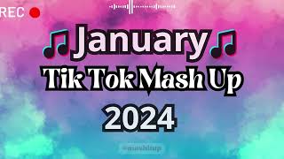 TikTok Mashup 2024 🎵 [upl. by Sheedy]