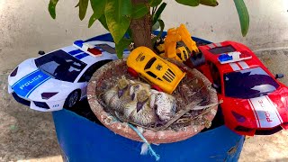 Rescue baby birds with dumper truck  gadi wala videotoy helicopter cartoonjcbtata truckTipper [upl. by Atteloc422]