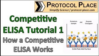 Competitive ELISA Tutorial 1 How a Competitive ELISA Works [upl. by Aan]