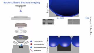 Scanning Electron Microscopy SEM animation of 3 types of imaging [upl. by Alexa]