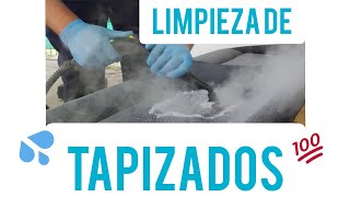 GRATIS  APRENDE a Limpiar el TAPIZADO Correctamente [upl. by Mraz49]