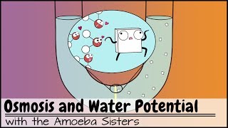 Osmosis and Water Potential Updated [upl. by Epoh]