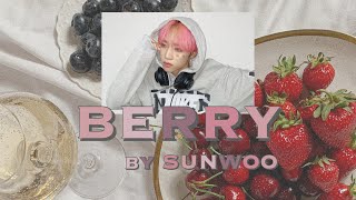 SUNWOO  Berry  カナルビ日本語訳 [upl. by Cyprus568]