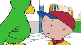 Caillou English Full Episodes  Wheres Gilbert  Videos For Kids  Caillou New HD [upl. by Dor]