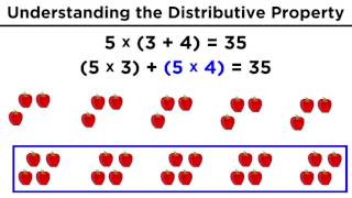 The Distributive Property for Arithmetic [upl. by Thom]