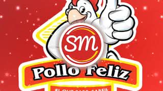 Comerciales Para Negocios De Pollo Feliz [upl. by Akehsar552]