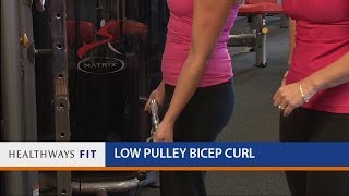 Low Pulley Bicep Curl [upl. by Anilyx239]