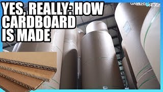 How Cardboard is Made  Factory Tour [upl. by Folly]