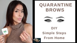 DIY Brow Shaping Tutorial AT HOME Simple for Beginners [upl. by Haela]