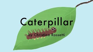 Caterpillar by Christina Rossetti  A Childrens Poem [upl. by Morton695]