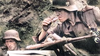 WW2 Waffen SS Intense Combat Footage [upl. by Beichner]