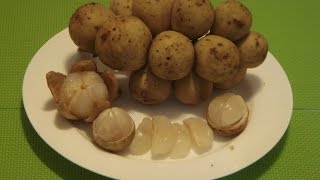 Lanzones Fruit How to Eat Longkong Fruit [upl. by Ailasor279]