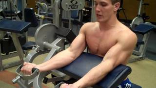 How To Arm Curl Cybex [upl. by Rehteh692]