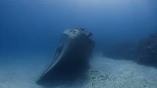 Kittiwake  Grand Cayman [upl. by Lednic]