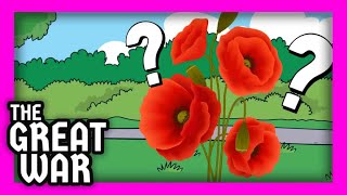 Why do we wear poppies [upl. by Nytsud]