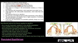 Grade 12 Life Sciences Evolution Part 2 [upl. by Reece389]