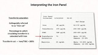 Anemia Lesson 2  Interpreting the Iron Panel [upl. by Gram]