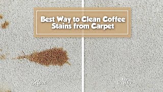 Best Way to Remove Coffee Stain from Carpet  STAIN FU [upl. by Teyugn]