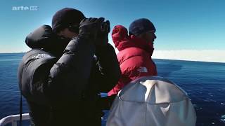 DOCUMENTAIRE  Expédition Antarctica  Sur les traces de lEmpereur HD [upl. by Rammus]