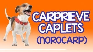 Carprieve Caplets  carprofen previously known as Norocarp [upl. by Aseek]