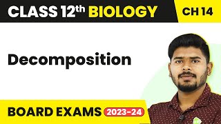 Class 12 Biology Chapter 14  Decomposition  Ecosystem 202223 [upl. by Yklam]