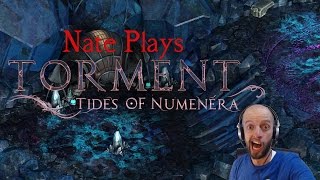 Torment Tides of Numenera Review [upl. by Antone]