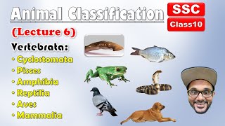 Animal Classification Lecture 6  Sub phylum VertebrataAll Classes  Class 10  SSC  state board [upl. by Anaugahs879]