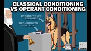 CLASSICAL VS OPERANT CONDITIONING [upl. by Siradal]