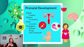 Prenatal Growth Intro Psychology Development 2 [upl. by Aldon]