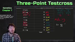 ThreePoint Testcross Example  Genetics [upl. by Submuloc]