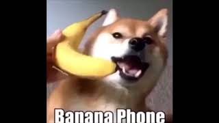 Ring ring ring banana phone 10 hours [upl. by Nebeur]