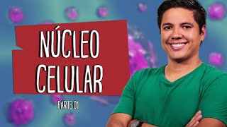 NÚCLEO CELULAR  Parte 01  Prof Kennedy Ramos [upl. by Suedaht]