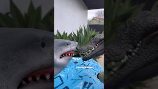 SHARK PUPPET AND DAVE PLAY POOL [upl. by Schnurr]