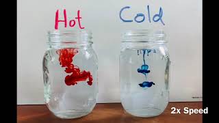 Food Coloring in Hot and Cold Water [upl. by Cece]