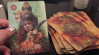 Mystical Shaman Oracle CardsClose Up Review plus Bonus Reading [upl. by Dirgni]