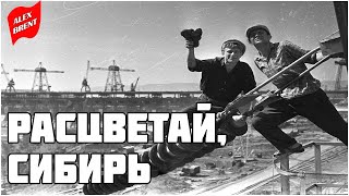 Расцветай Сибирь 1956 [upl. by Acirema]