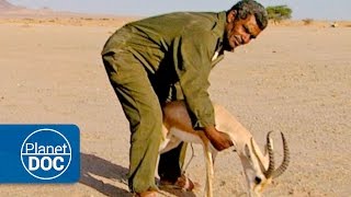 Berber tribes  Nomads of the Sahara [upl. by Jourdain]