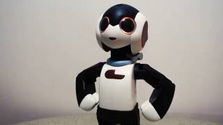 Meet Robi the Singlish Robot You Have To Build Yourself [upl. by Tray775]