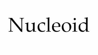 How to Pronounce Nucleoid [upl. by Oicangi129]