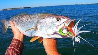 INSANE Bucktail and Gulp Bite Best Fishing in 40 Years [upl. by Yoc]