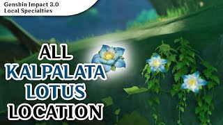 Kalpalata Lotus 71 17 Locations  Genshin Impact [upl. by Halford138]