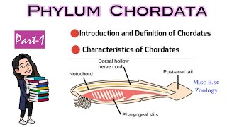 Part1 Introduction and Definition of ChordatesCharacteristics of ChordatesMsc Bsc Zoology NEET [upl. by Lavina787]